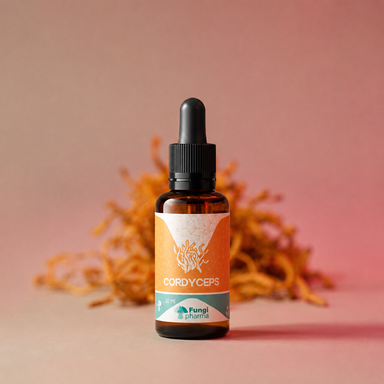Cordyceps